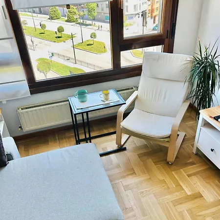 Apartmán El Pisin De Goya: Piso Luminoso Con Garaje A Pie Del Centro De Oviedo. *